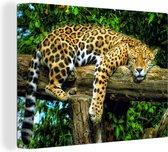 Tableau Peinture Jaguar - Arbre - Forêt Tropicale - 80x60 cm - Décoration murale