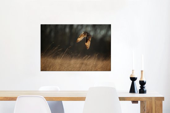 Tableau sur toile Hibou des marais en chasse dans la lumière du soir - 60x40 cm - Décoration murale