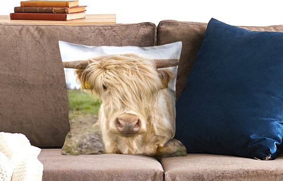 Coussins décoratifs - Oreillers Salon - 45x45 cm - Highlander écossais - Léger - Paysage