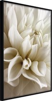 Ingelijste Poster - Dahlia II Zwarte lijst