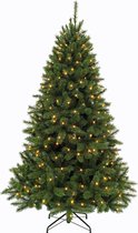 Triumph Tree - Bristlecone kerstboom led groen 440L TIPS 1583 - h260xd163cm- Kerstbomen