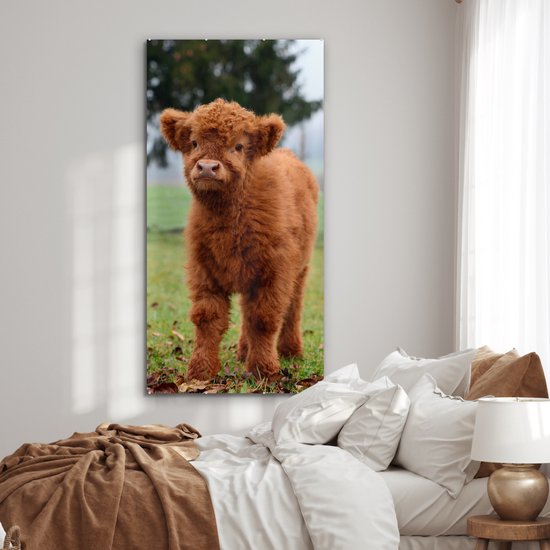 MuchoWow® Peinture sur verre 80x160 cm - Peinture sur verre acrylique - Highlander écossais - Veau - Herbe - Photo sur verre - Peintures