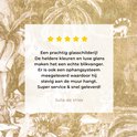 Afbeelding nummer  7