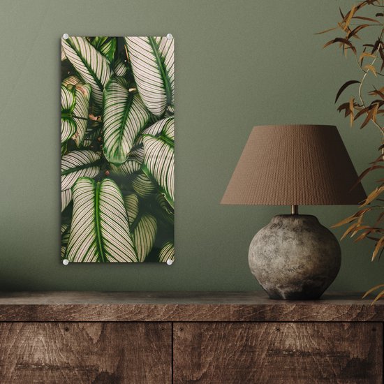 MuchoWow® Peinture sur verre 20x40 cm - Peinture acrylique sur verre - Feuilles - Plante - Vert - Photo sur verre - Peintures