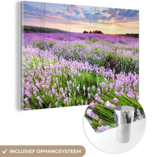 MuchoWow® Glasschilderij 120x80 cm - Schilderij acrylglas - Bloemen - Lavendel - Paars - Lucht - Zonsondergang - Weide - Natuur - Foto op glas - Schilderijen