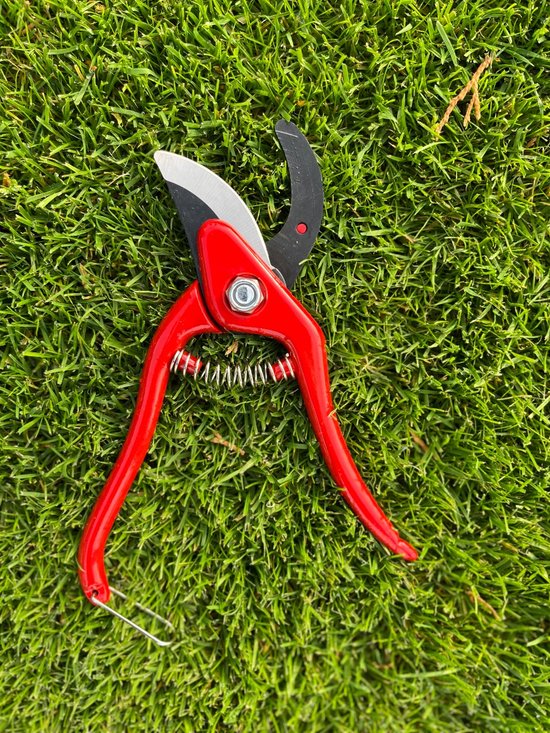 Talen Tools - Snoeischaar - Rood van Merkloos	 — afbeelding 3