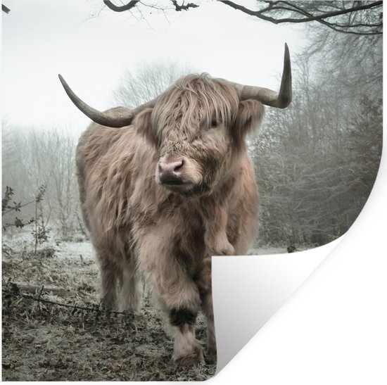 Muurstickers - Sticker Folie - Schotse Hooglander - Bos - Mist - Koe - Dieren - Natuur - 80x80 cm - Plakfolie - Muurstickers Kinderkamer - Zelfklevend Behang - Zelfklevend behangpapier - Stickerfolie