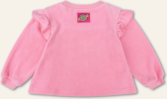 Hoppy sweater 35 Nicky velvet with artwork Hanging On Pink: 92/2yr