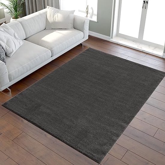 tapijt super zacht pluizig antislip -Comfortabel ontwerp \ Living room rug, carpets, 60 x 110 cm