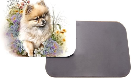 Aimant avec impression | 5x7cm | Cadeau | Aimant de réfrigérateur | poméranien