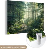 Peinture sur Verre - Forêt - Lumière - Chemin - 30x20 cm - Peintures sur Verre Peintures - Photo sur Glas