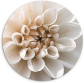 WallCircle® Wandcirkel 140x140 cm - Muurcirkel Bloemen - Natuur - Planten - Natuur - Aardtonen - Muurdecoratie woonkamer - Wanddecoratie slaapkamer - Kamer decoratie accessoires - Ronde schilderijen - Woonaccessoires cirkel binnen