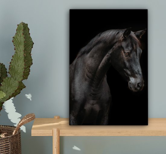 Tableau sur toile Cheval - Animaux - Zwart - Portrait - 20x30 cm - Décoration murale