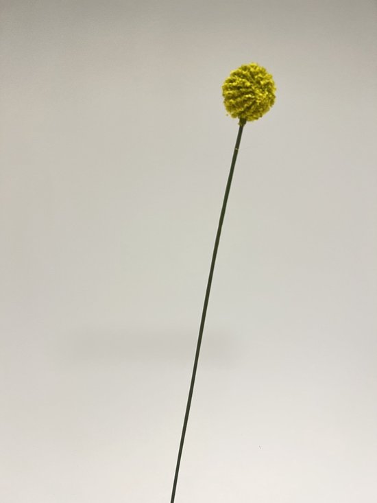 Zijden kunstbloem Craspedia | Geel | Lengte 37 centimeter