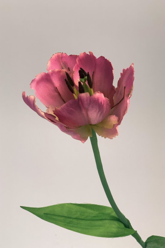 Zijden kunstbloem Parkiet Tulp | Roze | Lengte 50 centimeter