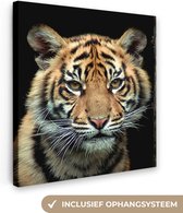 Tigre de Sumatra sur toile 20x30 cm - petit - Tirage photo sur toile (Décoration murale salon / chambre) / Peintures sur toile Animaux