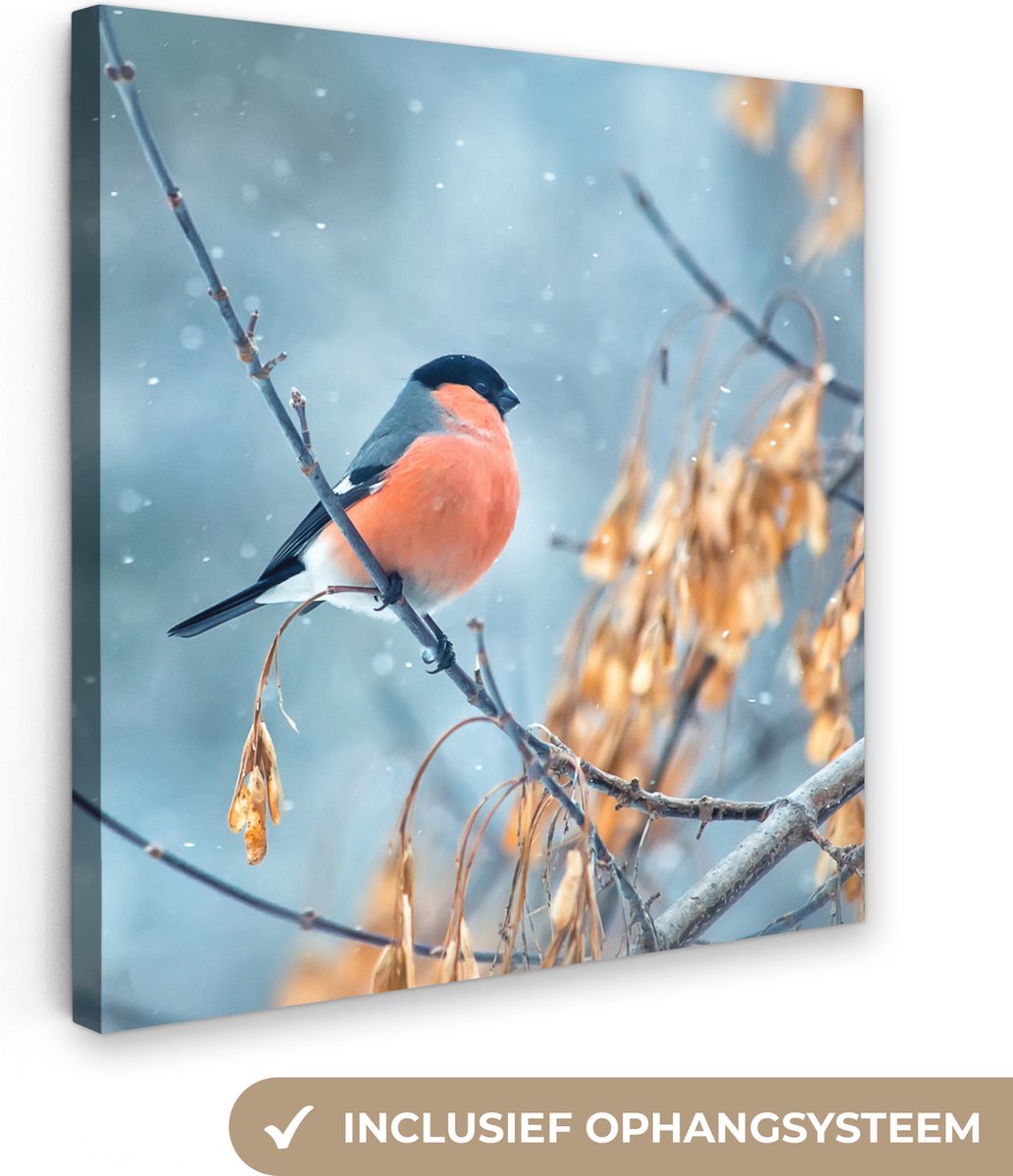 Canvas schilderij 90x90 cm - Wanddecoratie Sneeuw - Inductie beschermer - Vogel - Inductie