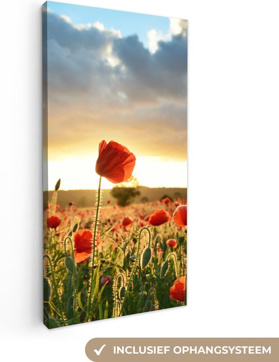 Canvas Schilderij Kleurrijke lucht boven vele Klaprozen - 20x40 cm - Wanddecoratie