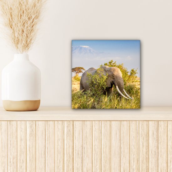 Tableau Toile Éléphant - Animaux - Herbe - Vert - Berg - 20x20 cm - Décoration Murale