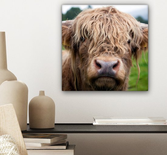 Peinture sur toile Highlander écossais - Herbe - Forêt - 20x20 cm - Décoration murale