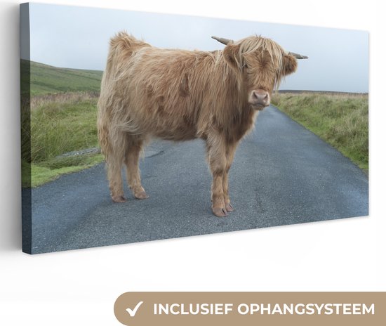 Tableau sur Toile Scottish Highlander - Route - Herbe - 40x20 cm - Décoration murale