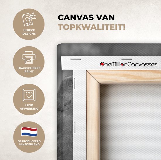 Canvas Schilderij Olifant - Baby - Dieren - Pad - Zwart wit - 20x40 cm - Wanddecoratie