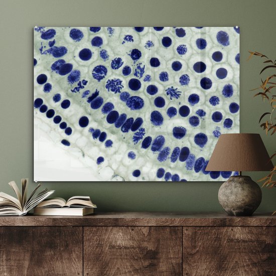 Peinture sur verre - Cellules bleues sous le microscope - 80x60 cm - Peintures sur Verre Peintures - Photo sur Glas