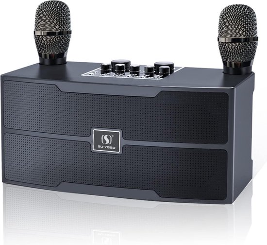 Karaoké - Kit de karaoké professionnel Bluetooth avec 2 microphones sans  fil pour