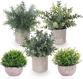 Pakket van 5 kunstplanten, kleine kunstplanten, echte eucalyptus, rozemarijn, gipskruid, klein met potten, tafeldecoratie, huis, balkon, kantoordecoratie