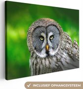 Toile - Tableau - Vogel - Hibou - Animaux - Peintures sur toile - Photo sur toile - 80x60 cm - Décoration murale - Salon