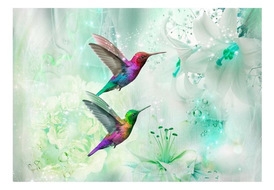 400cm X 280cm - Fotobehang - Kleurrijke Kolibries op Groene achtergrond, premium print vliesbehang - karo-art