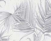 Papier peint Feuille de palmier - AS Creation Michalsky 3   | Gris blanc