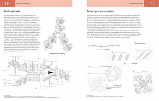 Fysiologie - Werk- en Kleurboek voor zelfstudie, James Hicks