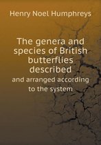 The genera and species of British butterflies described and arranged according to the system