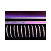 KapegoLED Flexible LED stripe, 3528-120-12V-pink-5m, violet, constant voltage, 12V DC, power / power consumption: 40,00 W / 40,00 W, length: 5000 mm, EEC: A, IP20