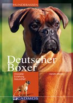 Hunderassen - Deutscher Boxer