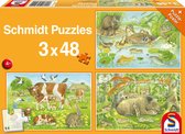Schmidt Dierenfamilies, 3 x 48 stukjes - Puzzel - 4+