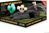 Exo Terra Schuilgrot Glow in the Dark Mushrooms - Terrarium Decoratie - 11 x 24 x 23 cm