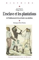 Histoire - L'esclave et les plantations