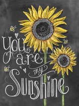 Diamond Painting You are my Sunshine 40x50cm. (Volledige bedekking - Ronde steentjes) diamondpainting inclusief tools