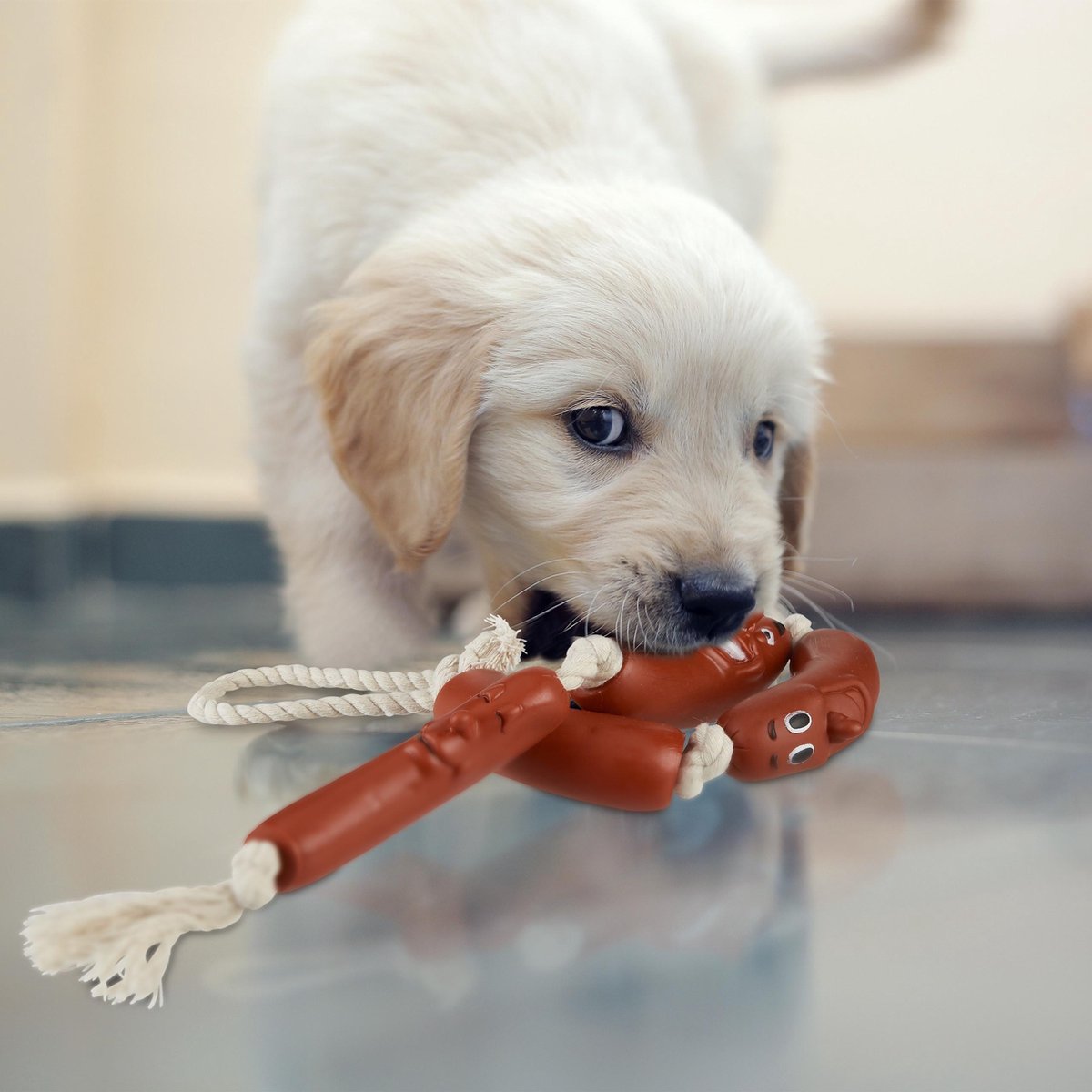 Automatische Bewegende Honden Bal | Voor Kleine Medium Puppy