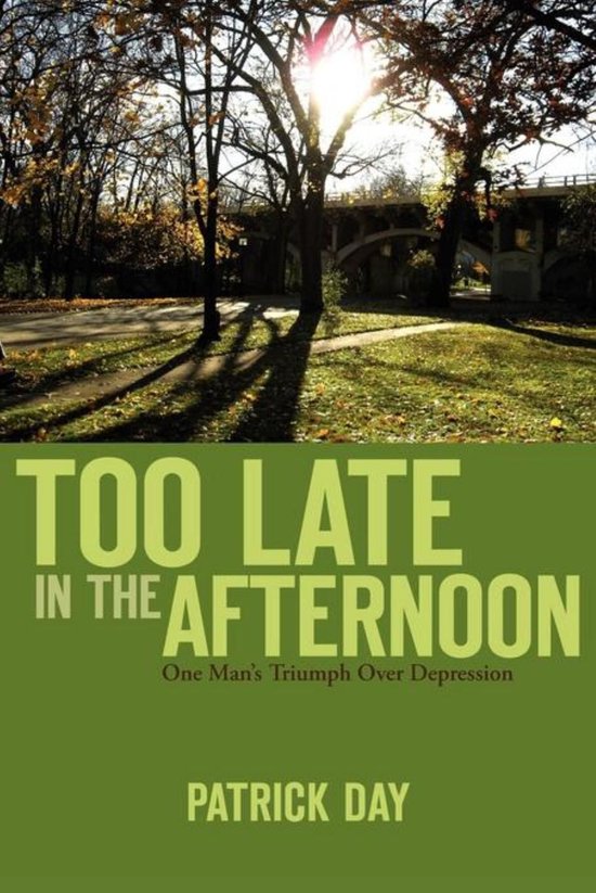 TOO LATE IN THE AFTERNOON - cover