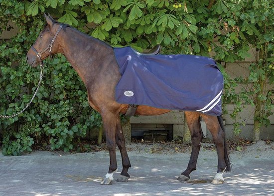 Alfombra de ejercicio de caballo personalizada de alta calidad, manta acolchada Alfombra de ejercicio de caballo personalizada de alta calidad, manta acolchada