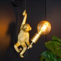 Gouden wandlamp in de vorm van een klimmende aap met een grote gloeilamp, naast groene planten tegen een donkere muur.