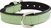 Dog collar Gloria Padded Green (55 x 2,5 cm)