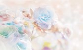 Flowers Pastel Colours Photo Wallcovering