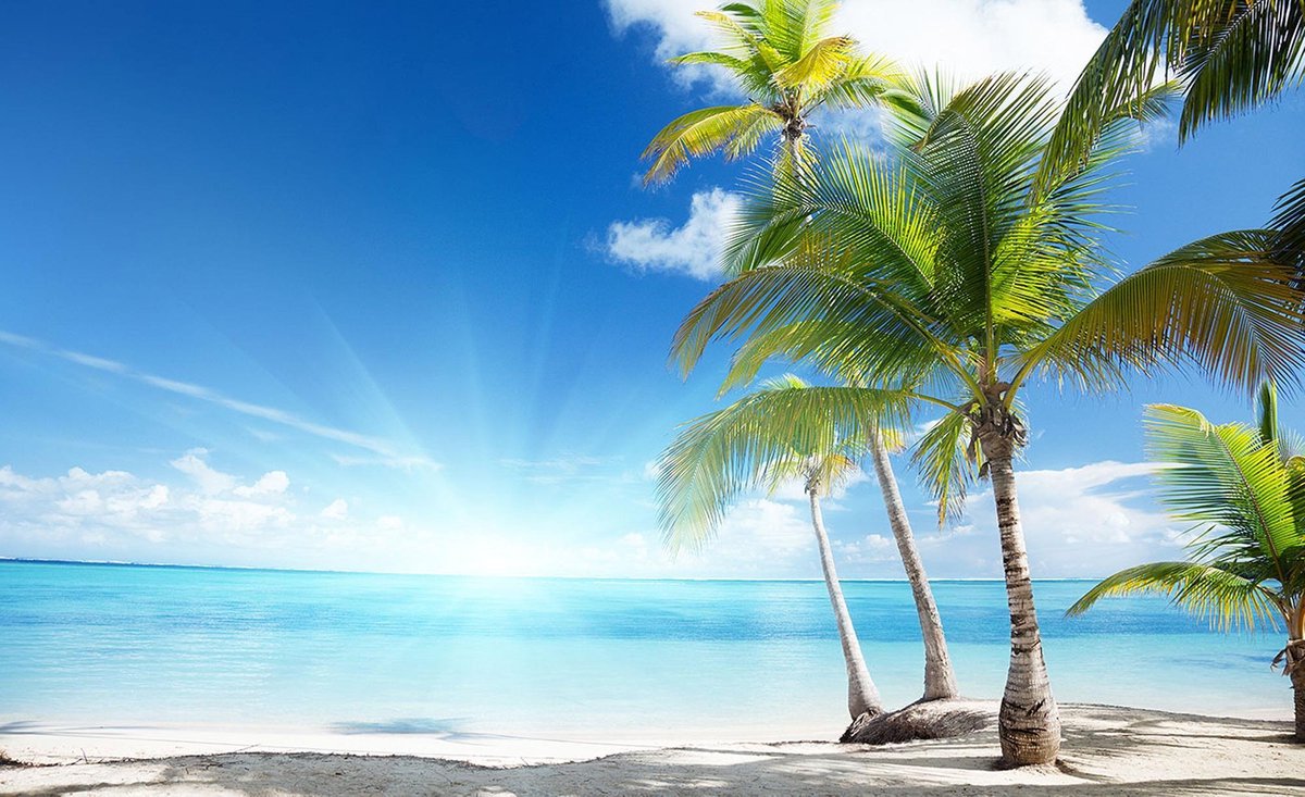 Fotobehang - Vliesbehang - Zonnig Strand met Palmbomen en Zee - Tropisch eiland - 152,5 x 104 (1 strook)