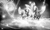 Winged Horse Pegasus Black Photo Wallcovering