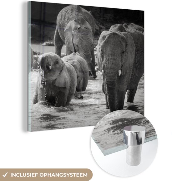 MuchoWow® Glasschilderij 90x90 cm - Schilderij acrylglas - Olifant - Dieren - Water - Zwart wit - Foto op glas - Schilderijen