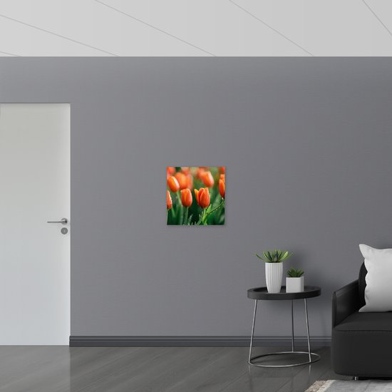 Vlag - Close-up van Oranje Tulpen in Landschap - 50x50 cm Foto op Polyester Vlag